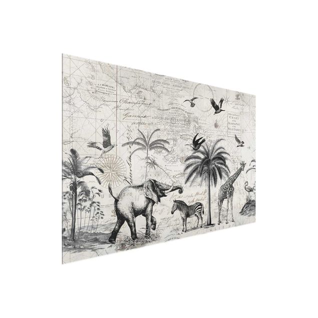 Quadros zebras Vintage Collage - Exotic Map