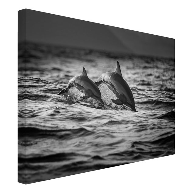 Telas decorativas em preto e branco Two Jumping Dolphins