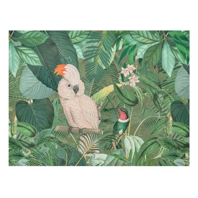 quadros flores Vintage Collage - Kakadu And Hummingbird