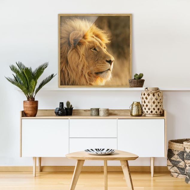 Quadros leões King Lion