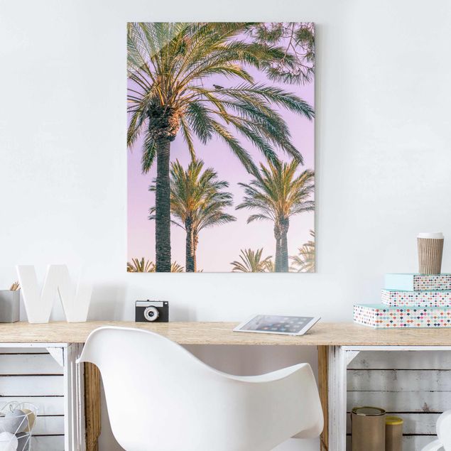 quadros de paisagens Palm Trees At Sunset