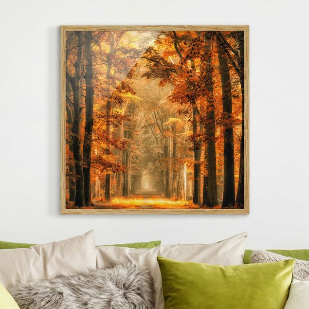 decoraçao para parede de cozinha Enchanted Forest In Autumn