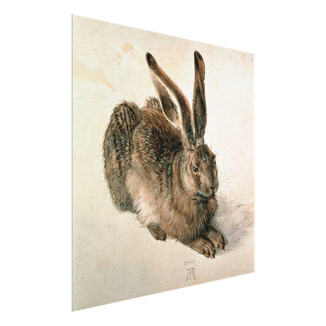 Quadros em vidro animais Albrecht Dürer - Young Hare
