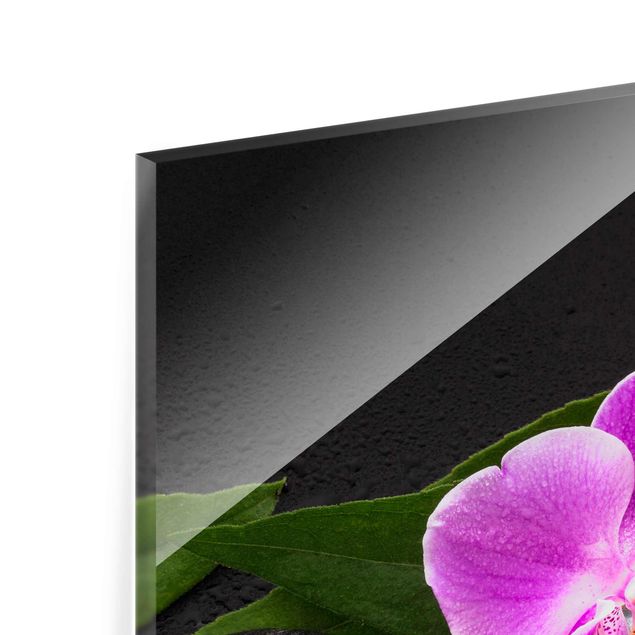 quadro com flores Green Bamboo With Orchid Flower