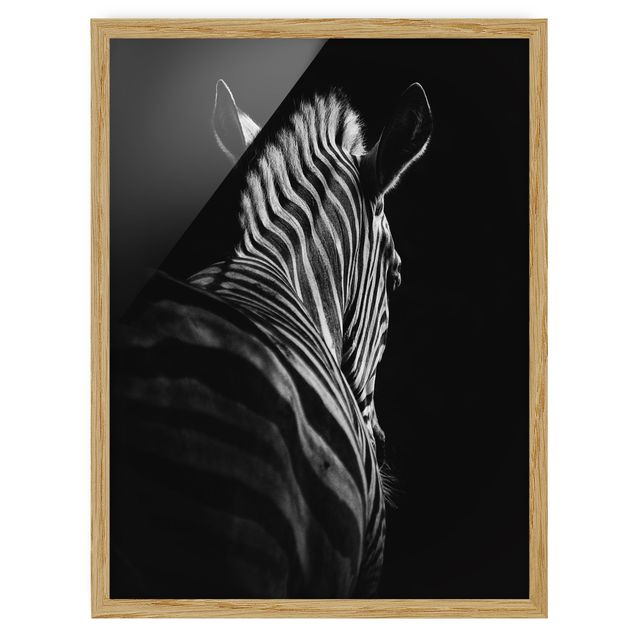 Quadros com moldura animais Dark Zebra Silhouette