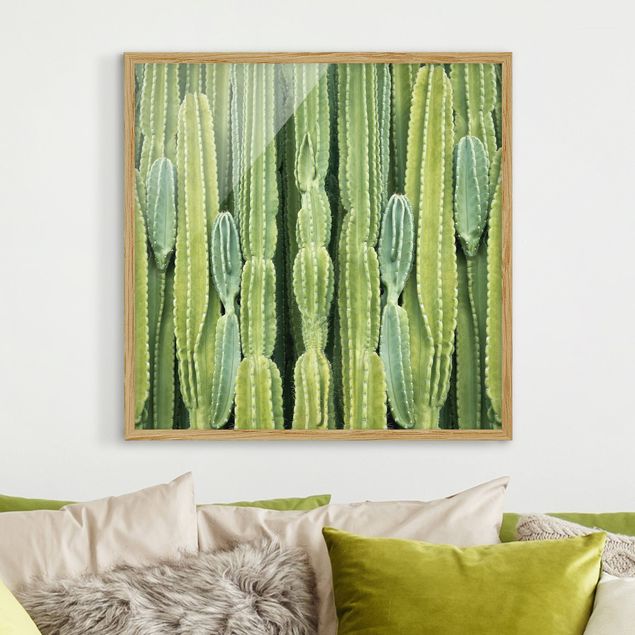 Quadros com moldura flores Cactus Wall