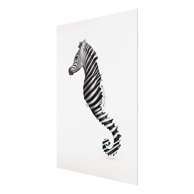 Quadros em vidro em preto e branco Seahorse With Zebra Stripes