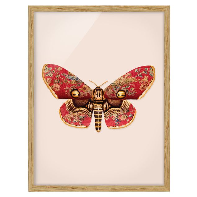 Quadros famosos Vintage Moth