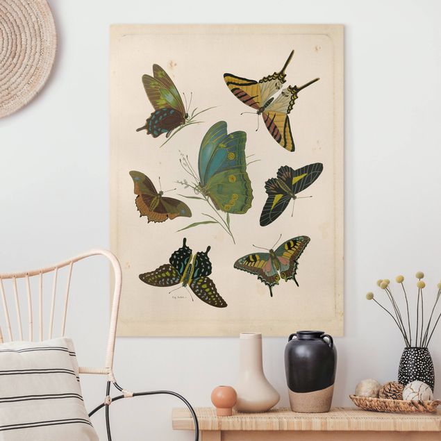 decoraçao cozinha Vintage Illustration Exotic Butterflies