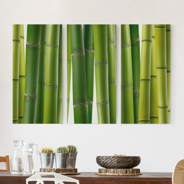 decoraçao cozinha Bamboo Plants