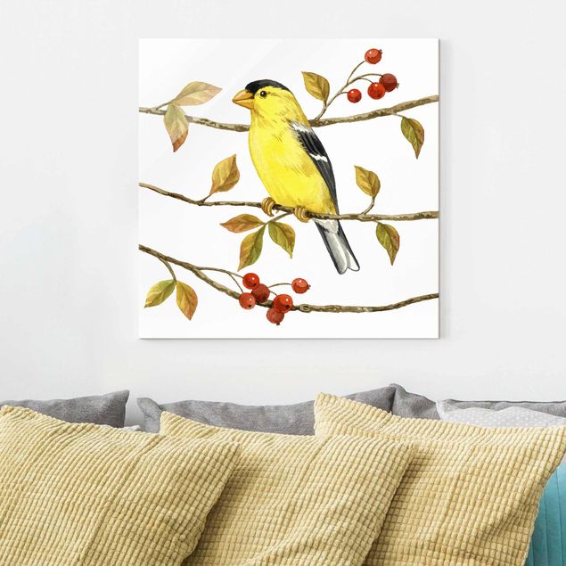 Quadros em vidro animais Birds And Berries - American Goldfinch