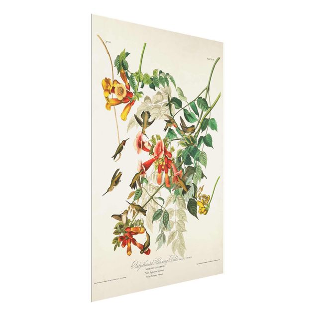 quadros de flores Vintage Board Hummingbirds