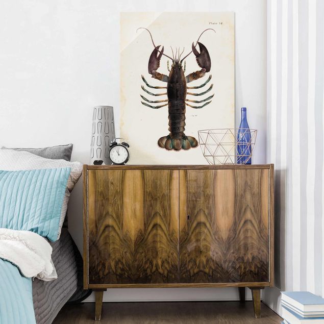 Quadros em vidro animais Vintage Illustration Lobster