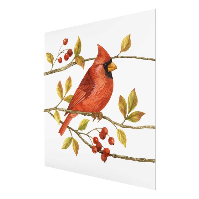 quadro em vidro Birds And Berries - Northern Cardinal