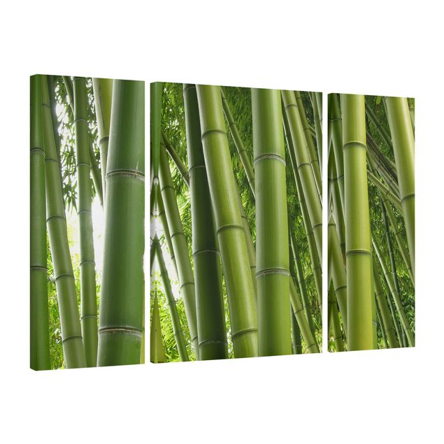 Quadros bambu Bamboo Trees