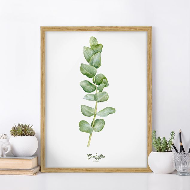 decoraçao cozinha Watercolour Botany Eucalyptus