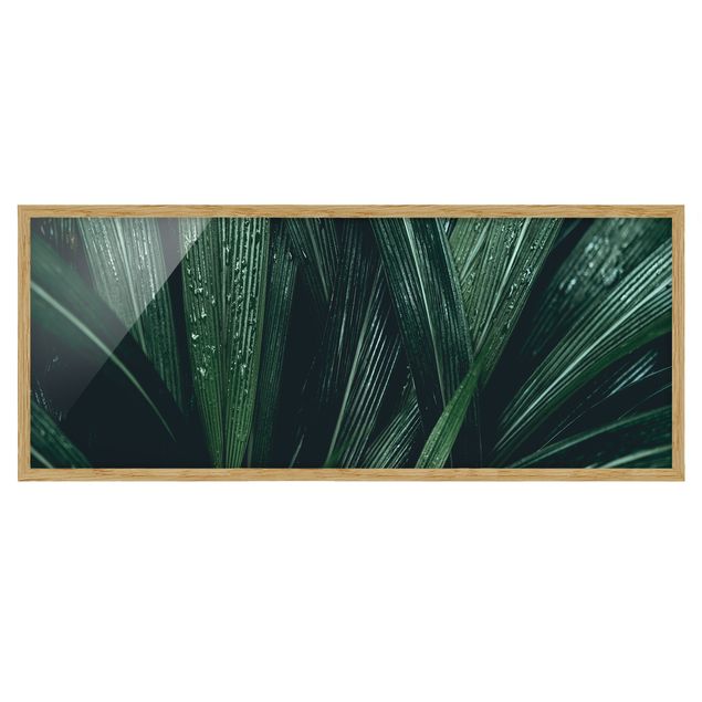 quadros flores Green Palm Leaves
