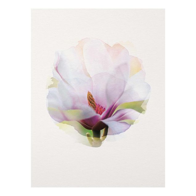 quadro com flores WaterColours - Delicate Magnolia Blossom