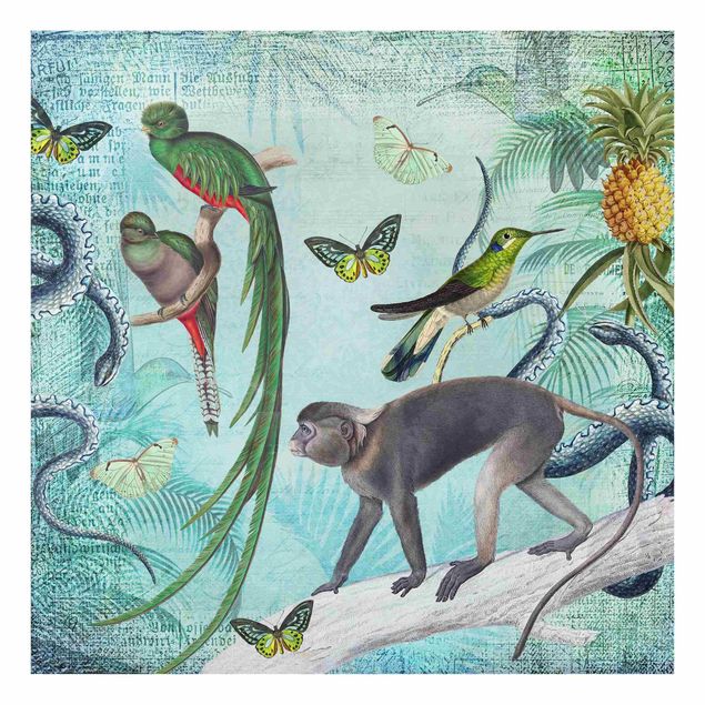 quadro com flores Colonial Style Collage - Monkeys And Birds Of Paradise