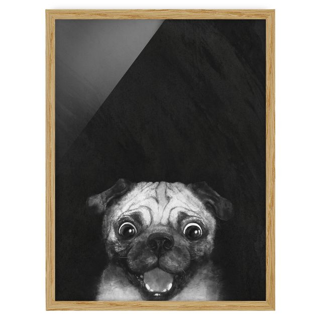 Quadros com moldura animais Illustration Dog Pug Painting On Black And White