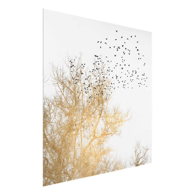Quadros em vidro paisagens Flock Of Birds In Front Of Golden Tree
