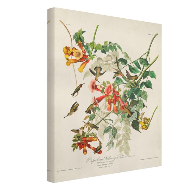 Quadros florais Vintage Board Hummingbirds