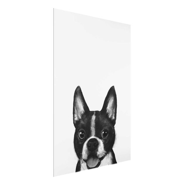 Quadros em vidro em preto e branco Illustration Dog Boston Black And White Painting