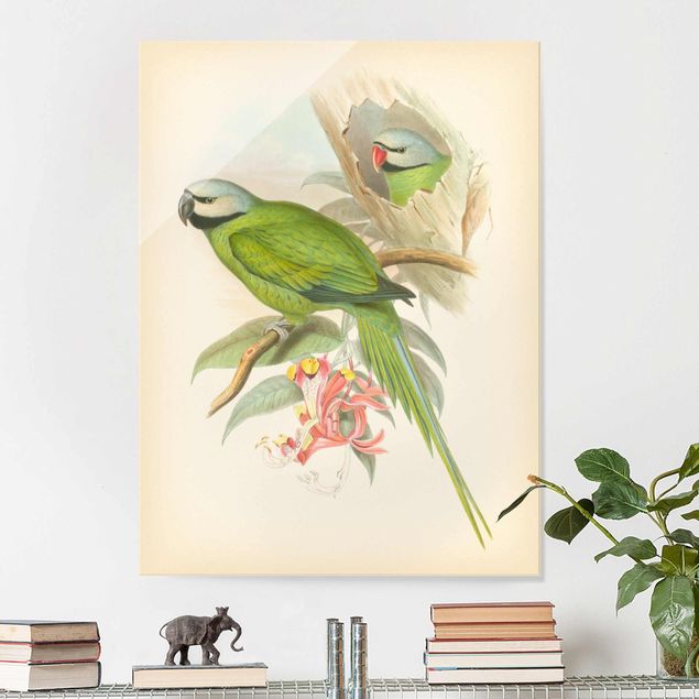 decoraçao para parede de cozinha Vintage Illustration Tropical Birds II