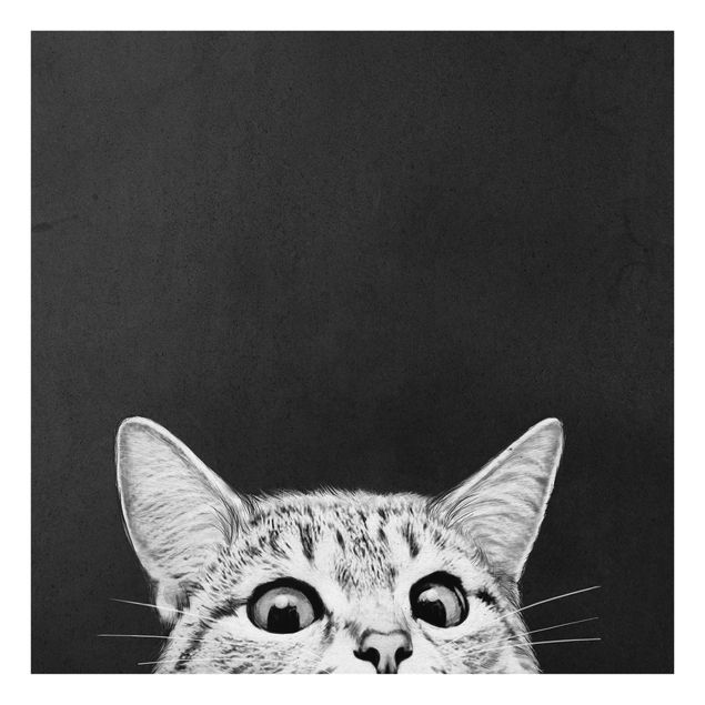 Quadros em vidro em preto e branco Illustration Cat Black And White Drawing
