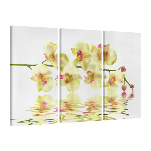 Telas decorativas flores Dreamy Orchid Waters