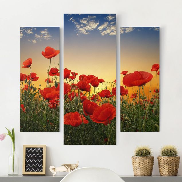 Quadros papoilas Poppy Field In Sunset