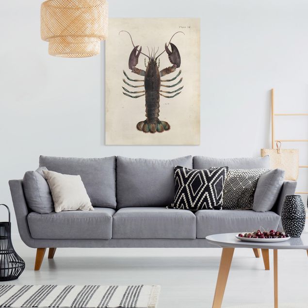 Telas decorativas animais Vintage Illustration Lobster