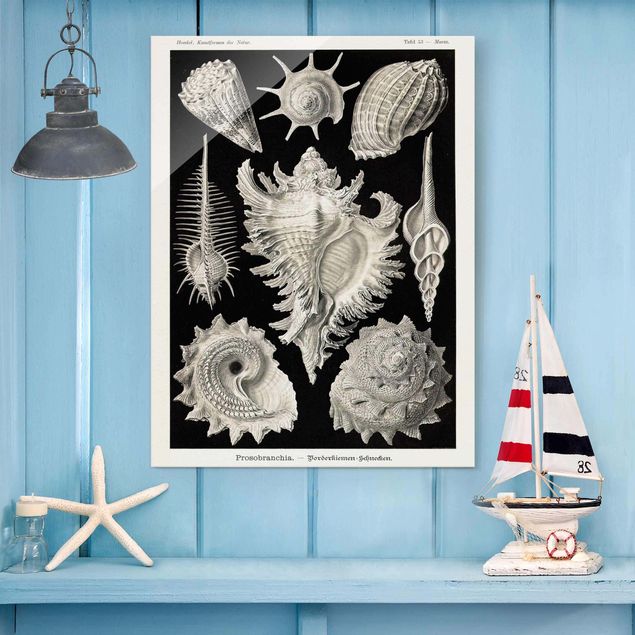 Quadros paisagens Vintage Board Mussels I