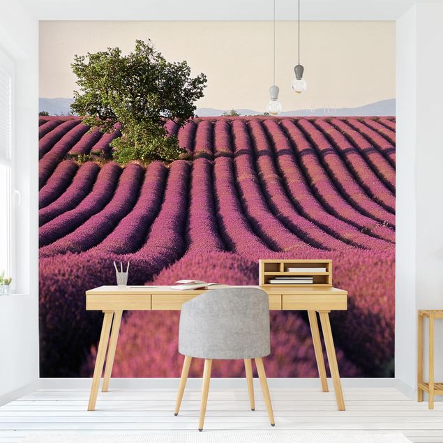 papel de parede moderno Lavender