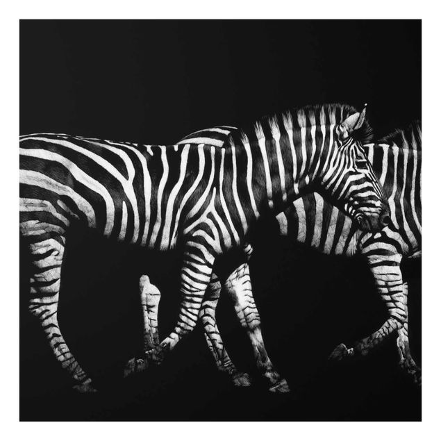 quadros modernos para quarto de casal Zebra In The Dark
