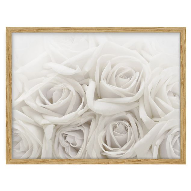 quadros flores White Roses