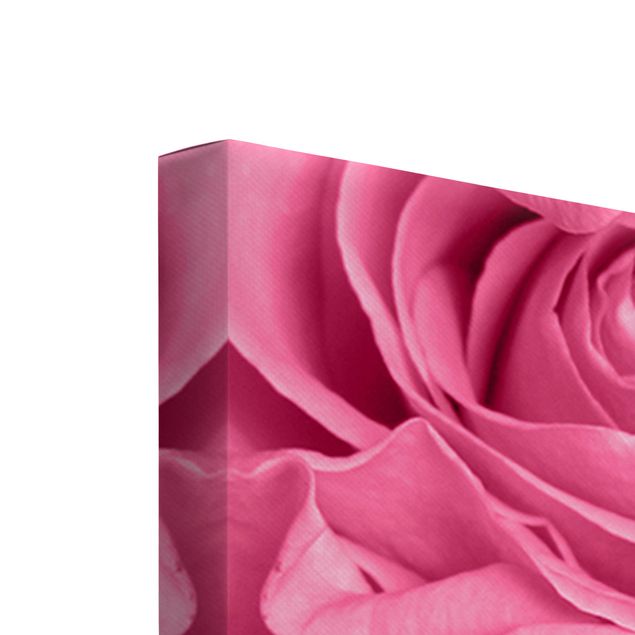 quadros em tela Pink Roses