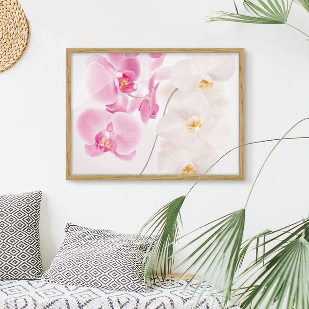 decoraçao para parede de cozinha Delicate Orchids