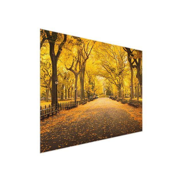 Quadros em vidro cidades e paisagens urbanas Autumn In Central Park
