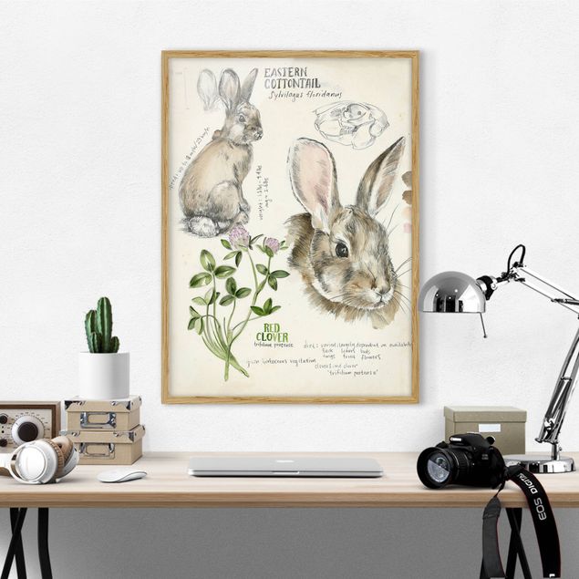 Quadros com moldura flores Wilderness Journal - Rabbit