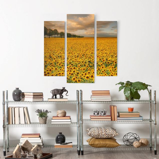Telas decorativas girassóis Field With Sunflowers