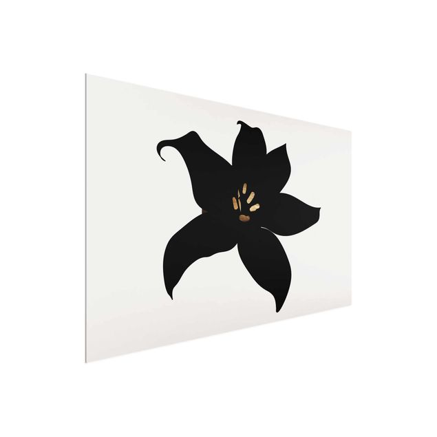 Quadros peixes Graphical Plant World - Orchid Black And Gold