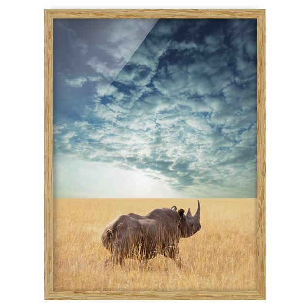 Quadros com moldura animais Rhino In The Savannah