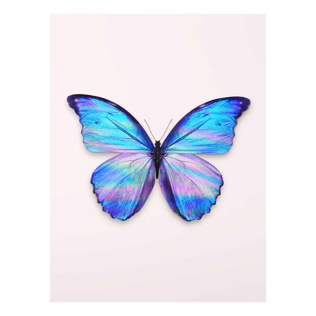Quadros em vidro animais Holographic Butterfly