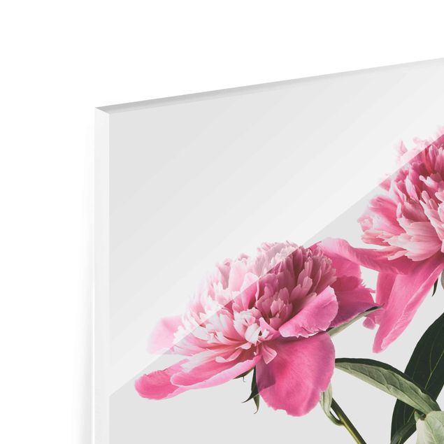 Quadros decorativos Pink Flowers And Buds On White