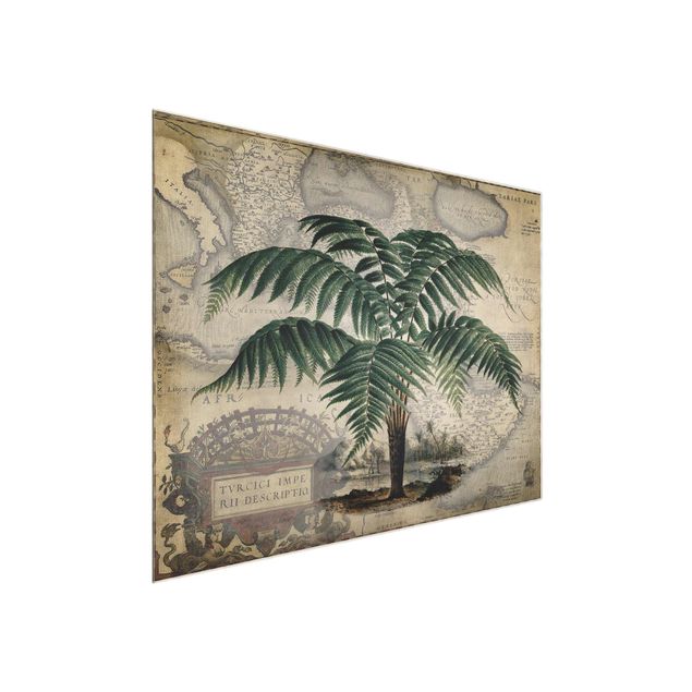 Quadros florais Vintage Collage - Palm And World Map