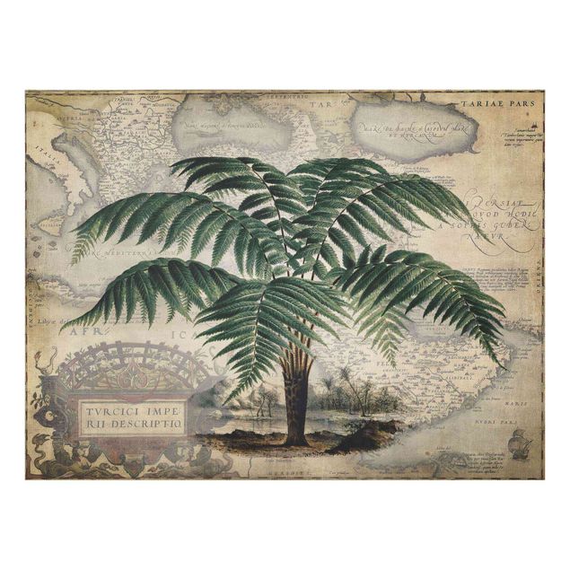 quadro com flores Vintage Collage - Palm And World Map