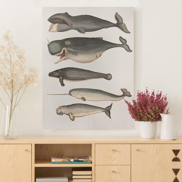 Telas decorativas peixes Five Vintage Whales