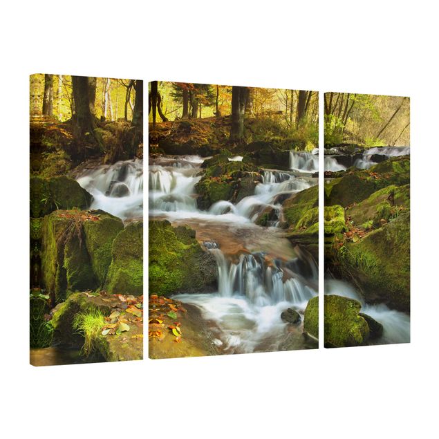 quadros de paisagens Waterfall Autumnal Forest