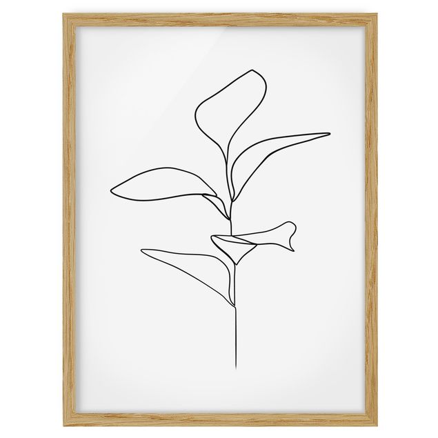 Quadros com moldura flores Line Art Plant Leaves Black And White